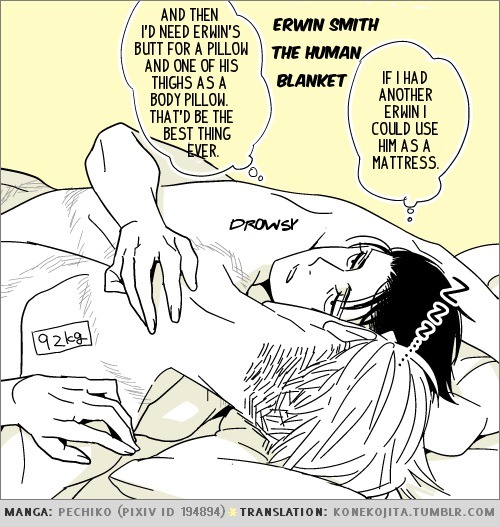 i-heart-danchou: konekojita: Eruri’s bed habits (more translated Pechiko) (manga by Pechiko / transl