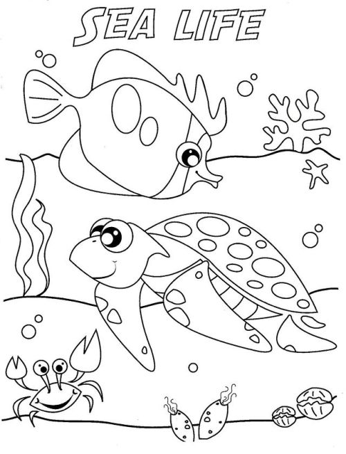 Hey everyone! Today I have some sea themed activity sheets for you all!Fill it out and then you can 
