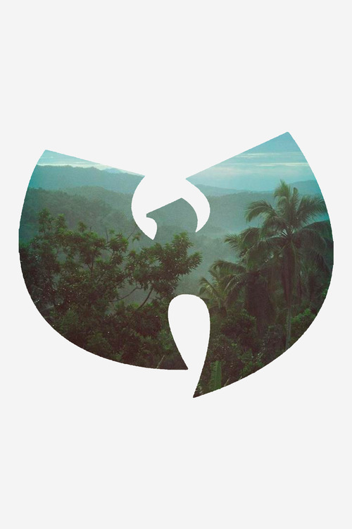 jordanerreape15:  Wu tang;)