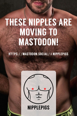 nipplepigs: Tumblr was fun while it lasted but because NSFW content is allowed in Mastodon, let’s set up a nipple community there. Feel free to join me at:  https://mastodon.social/@nipplepigs 