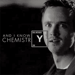 awakingdreaming:  From the Beginning. To the End. Walter and Jesse. You will be missed. 