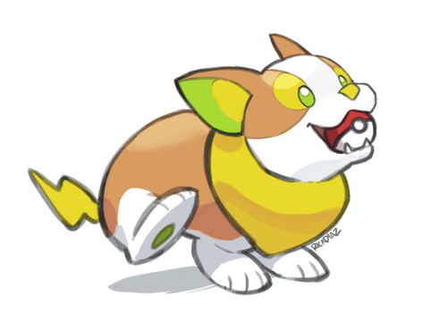 wonderfulworldofmoi:Yamper’s ability Ball Fetch is so important and adorable. please imagine y