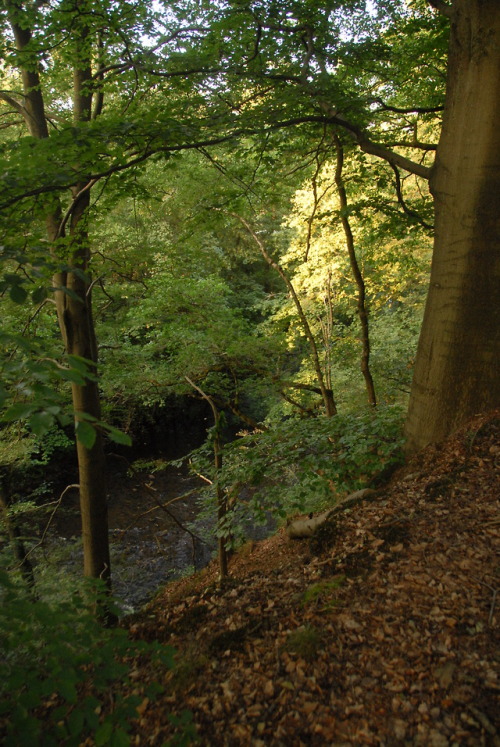 wesertal, ostbelgien