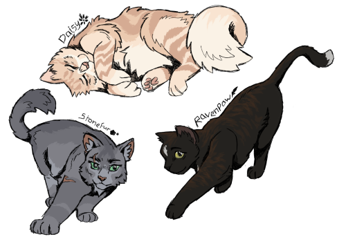 22 Warrior Cats Writing Prompts 🐈