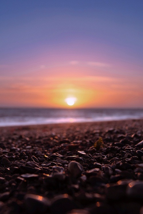 alecsgrg:  By: Sam Horne 