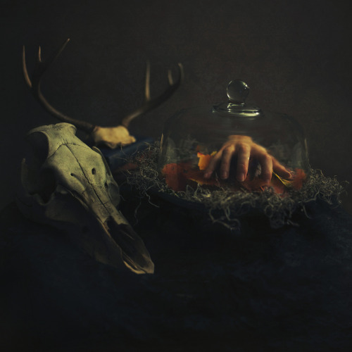 What serves you. (by Sarah Ann Loreth)