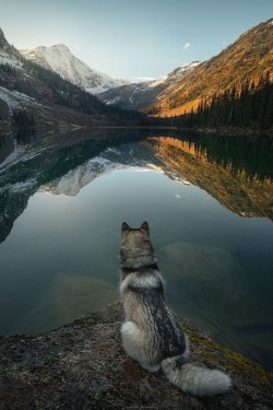 thewanderer58: