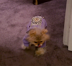 realitytvgifs:  When I show up to a Facebook event after I’ve replied “Maybe