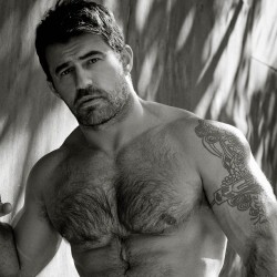 hot4hairy:  H O T 4 H A I R Y  Tumblr |