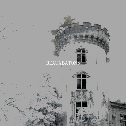 dorcmeadowes: wizarding schools
