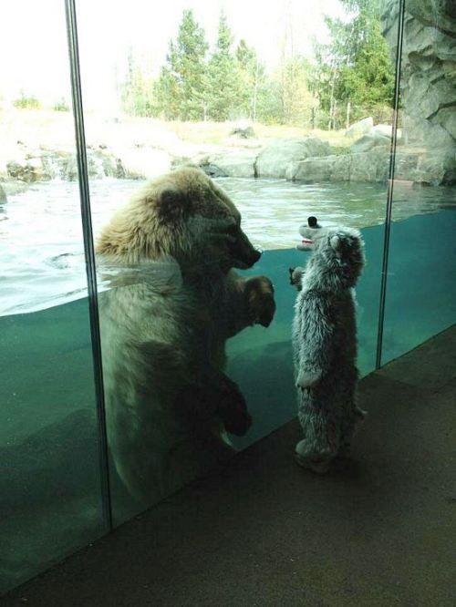 Haha. so cute.