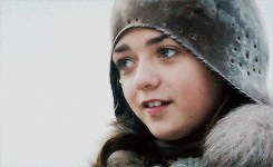 rhaegartarqaryen-deactivated201:everyone is happy au: Lyanna lives and gets to know Arya. They horse