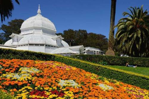 One of the many interesting things to see in Golden Gate Park… Conservatory of Flowers. 08 Ju