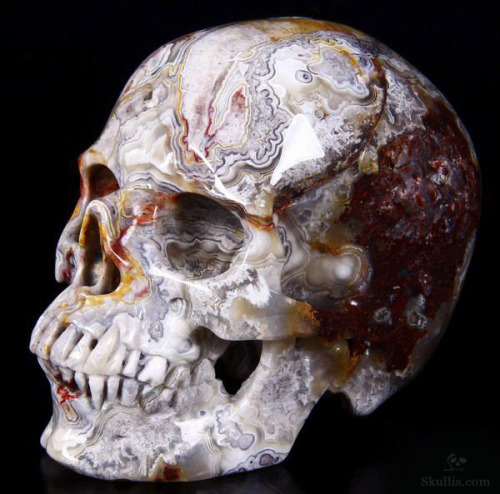 devidsketchbook: GORGEOUS CRYSTAL SKULLS Large Geode 4.1” Red Crazy Lace Agate Carved Crystal 