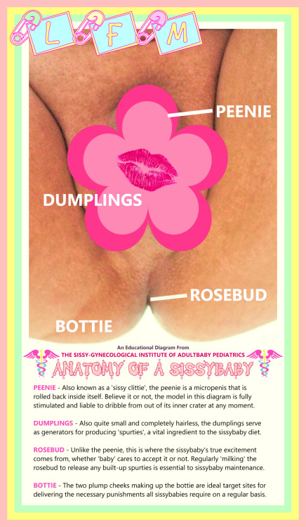 ANATOMY OF A SISSYBABY - An Educational Diagram From The Sissy-Gynecological Institute Of Adultbaby 