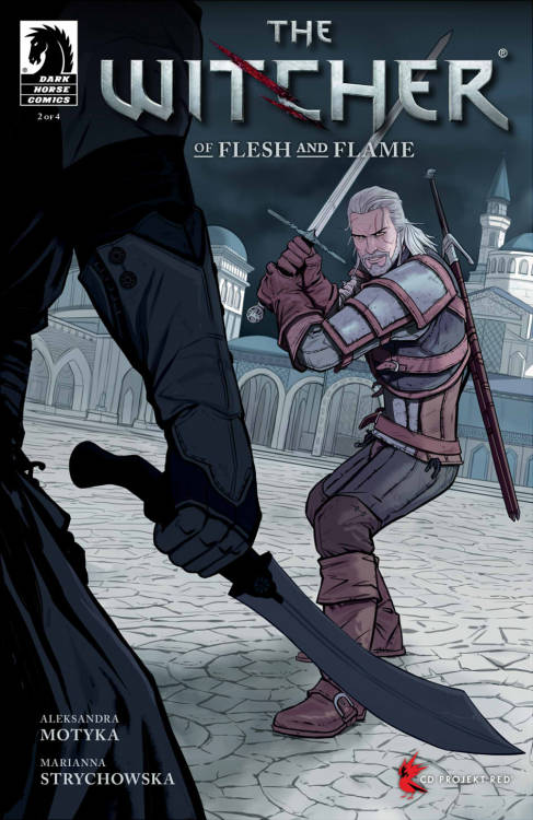 The Witcher Of Flesh and Flame 2-4 covers