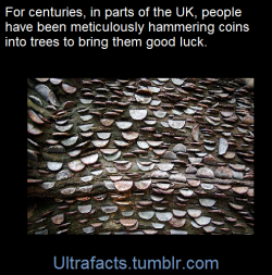 ultrafacts:  (Fact Source) Follow Ultrafacts for more facts 