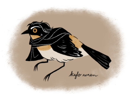 brandiebuck:  small emo birb 