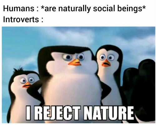 I Can’t Even Stand Myself