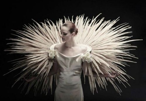 Jess Eaton’s “Roadkill Couture” for EatonNott, made from bones, feathers, and horns which are ethica