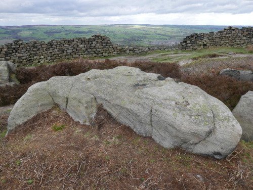 Bronze Age various cup rock art examples on Rombald’s Moor, near Ilkley, Yorkshire, 13.4.17.