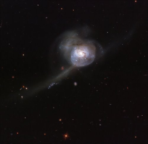 NGC 34 (NGC 17) - Seyfert 2 Galaxy Credits:  ESA/Hubble & NASA, A. Adamo et al. 