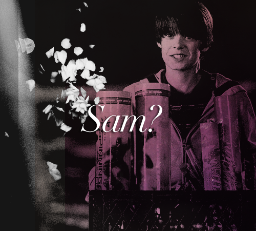 Porn Pics lucifersaam:  SAM WINCHESTER MEME: ✿ favorite