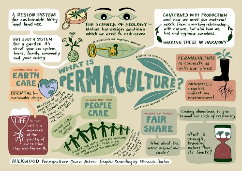 toadstoolgardens:  What is Permaculture &