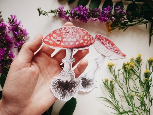 Mushroom stickers // Etsy