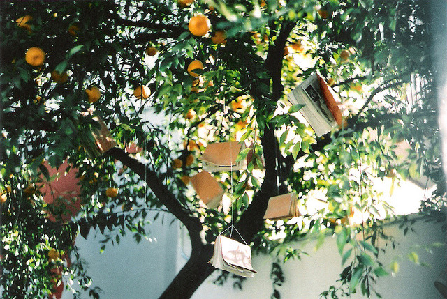 nostalgic-dreaming:  untitled by natalia peris on Flickr. 