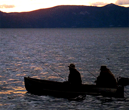 movie-gifs:  The Godfather Part II (1974) dir. Francis Ford Coppola