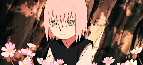 harunosakuras:You like cosmos?