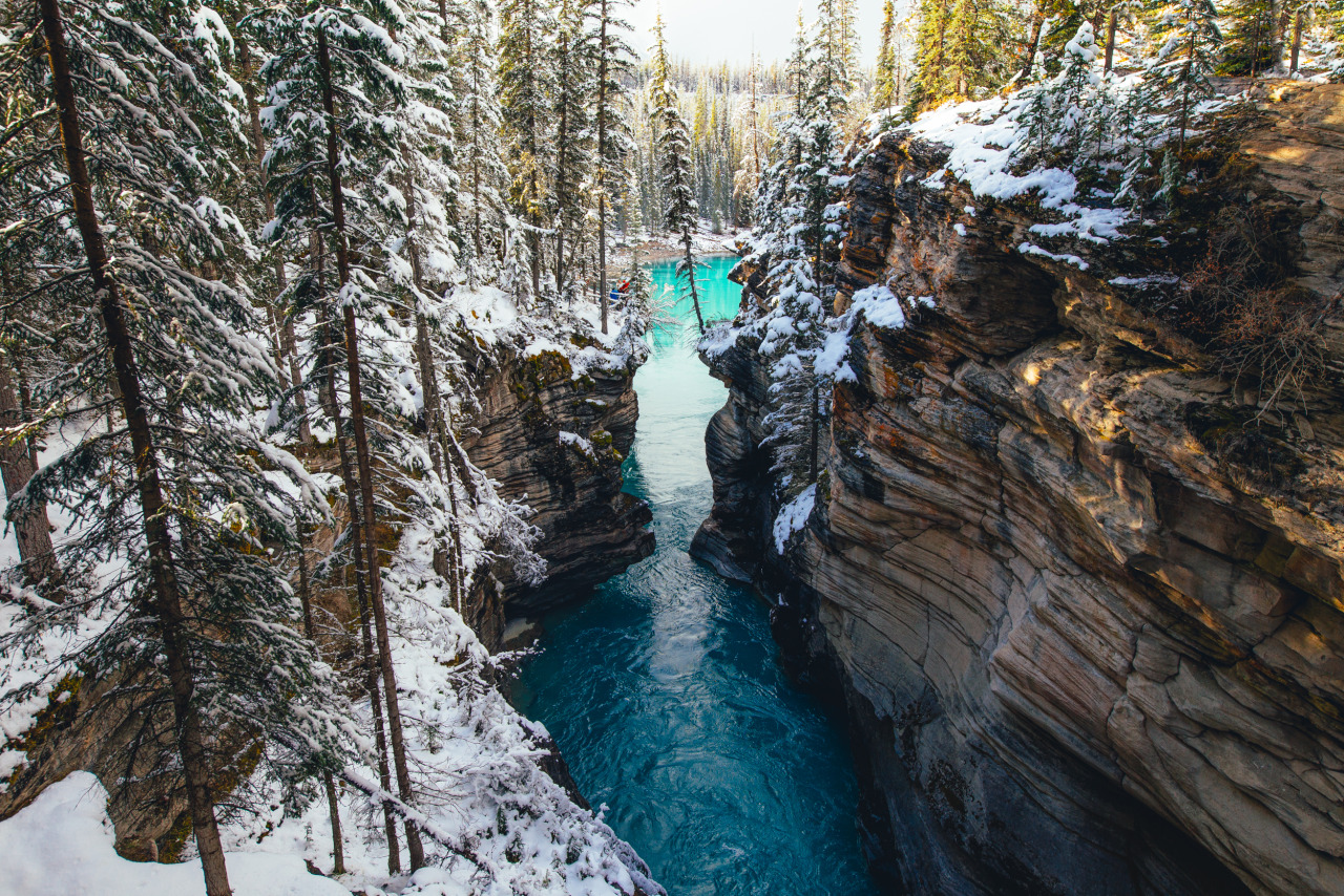 behindthesehazeleeeyeees:  brianfulda:  First snow in the Canadian Rockies.Banff