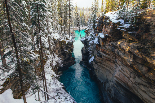 brianfulda:First snow in the Canadian Rockies.Banff and Jasper National Parks, Alberta, Canada. Octo