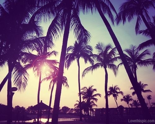 Dream Life