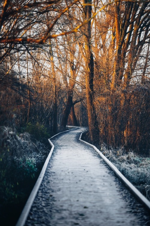 meolog - a long walk in the december cold