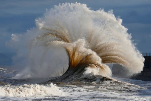 Heugh Breakwater by Caroline Walker