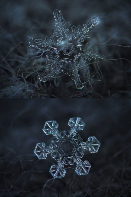 john-and-dave:  iraffiruse:  Homemade camera rig takes stunning close-up pictures of snowflakes  I swear snow is like some weird phenomena like aliens or something that shit is fucking art and you know it 