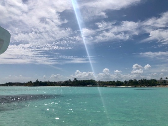 Dominican Republic. I was on a boat this day, snorkled and saw a shark and barracuda. I played in the water and didn’t get out until it was time to leave. A part of my spirit lies there now.