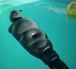 gummigimp:  swimming time for rubber gimp