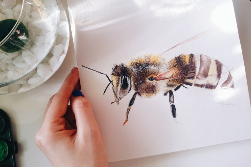 Almost finished watercolor bee 