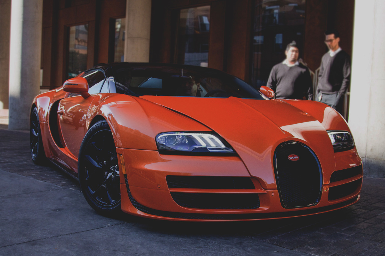 s0me-guy:  Vitesse | by Bleasdell 