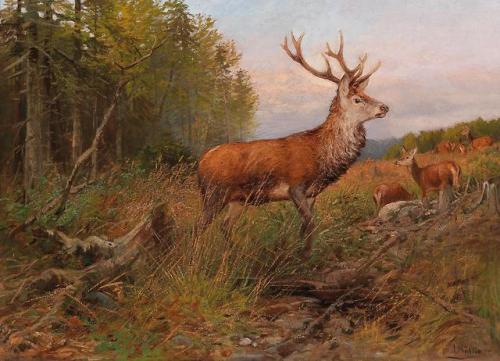 Red Deer on the Lookout, Albert Ernst Mühlig (1862-1909)