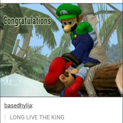 #yearofluigi