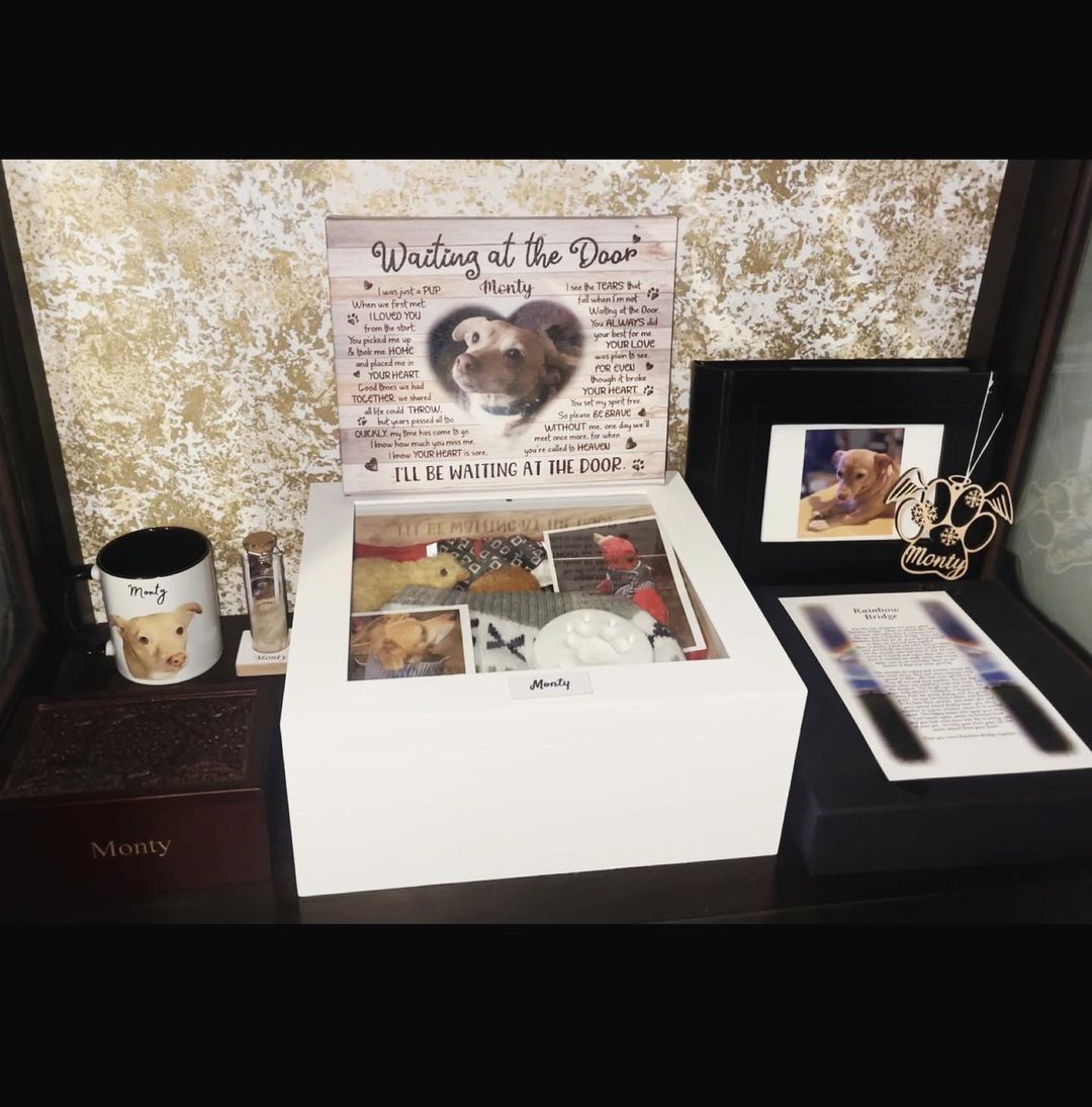 Monty has his own shelf now finished in my display case - the photo album isn’t done re: the descriptions/memories to photos I want to write + I need to get another one for vertical photos…but it’s all so beautiful for the most beautiful soul that...