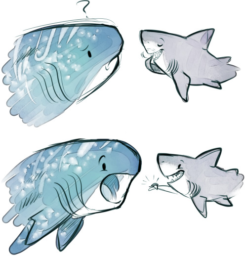 pirateygentleman:  sharkie-19:  Whale and Great White sharks. :)  CUTEST THINGS ON THIS EARTH!!!!