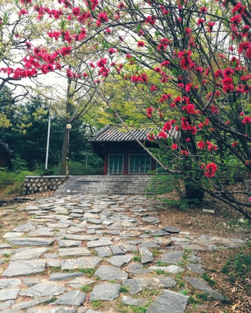 Bongwonsa Temple (봉원사), Seoul, South Korea© 