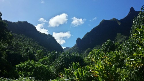 Easy Garden Trail After Intense Kayak Adventure.
