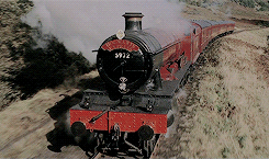   “For your information Potter, asphodel and wormwood make a sleeping potion so powerful it is known as the draught of the living death, a bezoar is a stone taken from the stomach of a goat and it will save you from most poisons. As for monkshood and