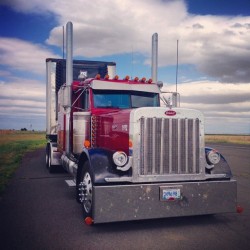 onegirltrucking:  Bugs and clouds…  #peterbilt #largecar #truckers #trucking #trucklife #truckyeah #newmexico #clouds #cloudporn